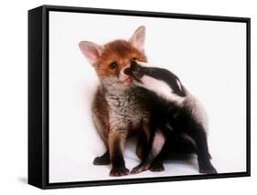 A Tale of Two Cubs, She's Always Badgering That Fox for a Kiss-null-Framed Stretched Canvas