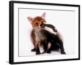 A Tale of Two Cubs, She's Always Badgering That Fox for a Kiss-null-Framed Photographic Print