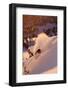 A Talented Skier Skies Down the Mountain at Alta Backcountry, Utah-Adam Barker-Framed Photographic Print
