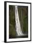 A Tall Waterfall Drops Off a Steep Cliff into Waters, Milford Sound on South Island, New Zealand-Paul Dymond-Framed Photographic Print