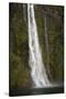 A Tall Waterfall Drops Off a Steep Cliff into Waters, Milford Sound on South Island, New Zealand-Paul Dymond-Stretched Canvas