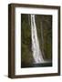 A Tall Waterfall Drops Off a Steep Cliff into Waters, Milford Sound on South Island, New Zealand-Paul Dymond-Framed Photographic Print