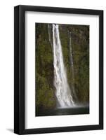 A Tall Waterfall Drops Off a Steep Cliff into Waters, Milford Sound on South Island, New Zealand-Paul Dymond-Framed Photographic Print