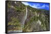 A Tall Waterfall Drops Off a Steep Cliff into Waters, Milford Sound on South Island, New Zealand-Paul Dymond-Framed Stretched Canvas