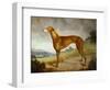 A Tan Greyhound Bitch in an Extensive River Landscape-F. H. Roscoe-Framed Giclee Print