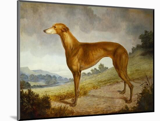 A Tan Greyhound Bitch in an Extensive River Landscape-F. H. Roscoe-Mounted Giclee Print