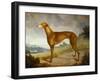 A Tan Greyhound Bitch in an Extensive River Landscape-F. H. Roscoe-Framed Giclee Print