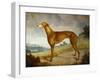 A Tan Greyhound Bitch in an Extensive River Landscape-F. H. Roscoe-Framed Giclee Print