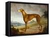 A Tan Greyhound Bitch in an Extensive River Landscape-F. H. Roscoe-Framed Stretched Canvas