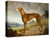 A Tan Greyhound Bitch in an Extensive River Landscape-F. H. Roscoe-Stretched Canvas
