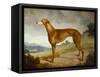 A Tan Greyhound Bitch in an Extensive River Landscape-F. H. Roscoe-Framed Stretched Canvas