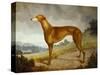 A Tan Greyhound Bitch in an Extensive River Landscape-F. H. Roscoe-Stretched Canvas