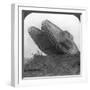 A Tank Breaking Through the Wire at Cambrai, France, World War I, C1917-C1918-null-Framed Photographic Print