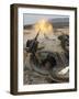 A Tank Crewman Braces Himself After Firing a 120mm Round from a M1A1 Abrams Battle Tank-Stocktrek Images-Framed Photographic Print