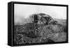 A Tank in Action on the Western Front, Somme, France, First World War, 1914-1918-null-Framed Stretched Canvas