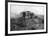 A Tank in Action on the Western Front, Somme, France, First World War, 1914-1918-null-Framed Giclee Print