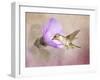 A Taste of Nectar Hummingbird-Jai Johnson-Framed Giclee Print