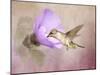 A Taste of Nectar Hummingbird-Jai Johnson-Mounted Giclee Print