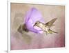 A Taste of Nectar Hummingbird-Jai Johnson-Framed Giclee Print