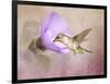 A Taste of Nectar Hummingbird-Jai Johnson-Framed Giclee Print