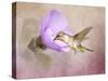 A Taste of Nectar Hummingbird-Jai Johnson-Stretched Canvas