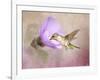 A Taste of Nectar Hummingbird-Jai Johnson-Framed Giclee Print