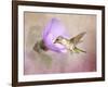 A Taste of Nectar Hummingbird-Jai Johnson-Framed Giclee Print