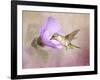 A Taste of Nectar Hummingbird-Jai Johnson-Framed Giclee Print