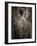 A Tattooed Man-null-Framed Photographic Print