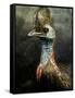 A Taxidermy Cassowary-Clive Nolan-Framed Stretched Canvas
