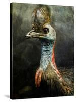 A Taxidermy Cassowary-Clive Nolan-Stretched Canvas