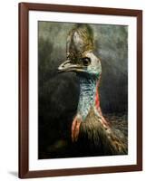 A Taxidermy Cassowary-Clive Nolan-Framed Photographic Print