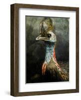 A Taxidermy Cassowary-Clive Nolan-Framed Photographic Print