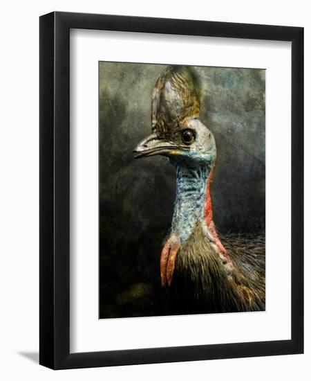 A Taxidermy Cassowary-Clive Nolan-Framed Photographic Print