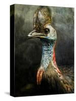 A Taxidermy Cassowary-Clive Nolan-Stretched Canvas