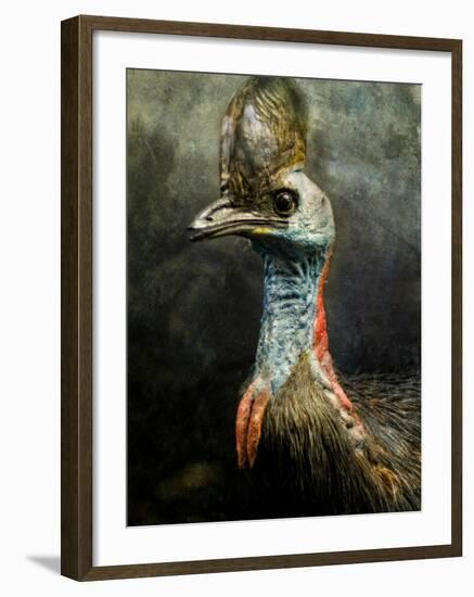 A Taxidermy Cassowary-Clive Nolan-Framed Photographic Print