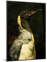 A Taxidermy King Penguin-Clive Nolan-Mounted Photographic Print