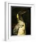 A Taxidermy King Penguin-Clive Nolan-Framed Photographic Print