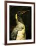 A Taxidermy King Penguin-Clive Nolan-Framed Photographic Print