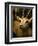 A Taxidermy Thomson's Gazelle-Clive Nolan-Framed Photographic Print