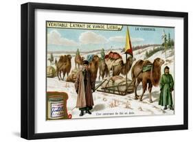 A Tea Caravan in Asia, C1900-null-Framed Giclee Print