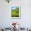 A Tea Plantation in Munnar, Kerala, India-Andrew Pini-Framed Photographic Print displayed on a wall