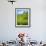 A Tea Plantation in Munnar, Kerala, India-Andrew Pini-Framed Photographic Print displayed on a wall