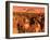 A Team of Robots Gather the Last of Martian Technology-Stocktrek Images-Framed Premium Photographic Print