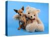 A Teddy Bear With His Arm Around A Tiny Chihuahua-graphicphoto-Stretched Canvas