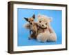 A Teddy Bear With His Arm Around A Tiny Chihuahua-graphicphoto-Framed Photographic Print