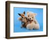 A Teddy Bear With His Arm Around A Tiny Chihuahua-graphicphoto-Framed Photographic Print