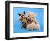A Teddy Bear With His Arm Around A Tiny Chihuahua-graphicphoto-Framed Photographic Print