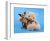 A Teddy Bear With His Arm Around A Tiny Chihuahua-graphicphoto-Framed Photographic Print