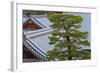 A Telephoto View Shows an Akamatsu Red Pine Tree Sculpted to Bonsai-Like Perfection, Komyo-Ji-Ben Simmons-Framed Photographic Print